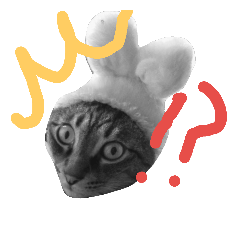 [LINEスタンプ] キジトラねこ・ふうちゃん