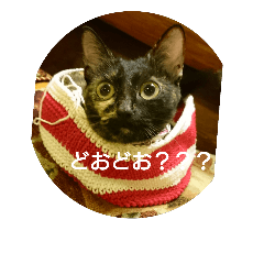 [LINEスタンプ] ねこ×24