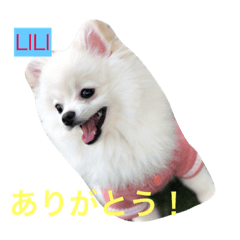 [LINEスタンプ] りりの日常2018