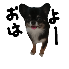 [LINEスタンプ] めいはうす2