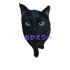 [LINEスタンプ] ちかの大切なペット達