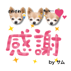 [LINEスタンプ] プライベートさむ