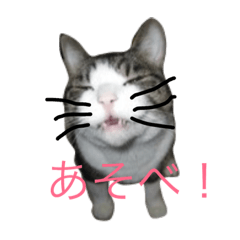 [LINEスタンプ] こじろう達