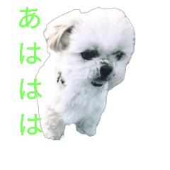 [LINEスタンプ] わんわんheaven