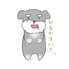 [LINEスタンプ] 犬のシュナさん