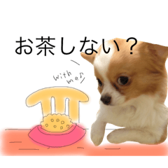 [LINEスタンプ] ミルクとココアのスタンプ