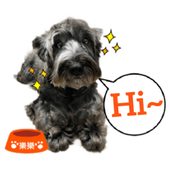 [LINEスタンプ] Lucky Dog -lele