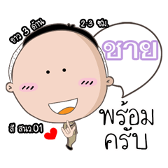 [LINEスタンプ] Chy is a Policeman