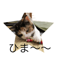 [LINEスタンプ] チャチャチャ