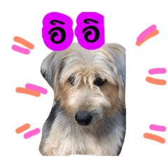 [LINEスタンプ] dogdogVer3