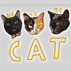 [LINEスタンプ] My little cute cat