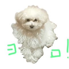 [LINEスタンプ] ティティビビ その1