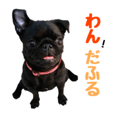 [LINEスタンプ] 黒パグはな