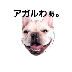 [LINEスタンプ] フレブルジェリーの色々。