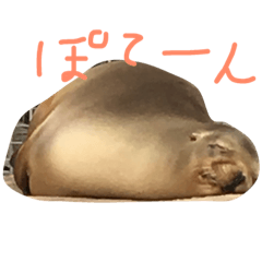 [LINEスタンプ] どうぶつスタンプ〜ゆるゆる〜