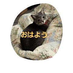 [LINEスタンプ] パトラ3