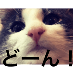 [LINEスタンプ] さぶろう！