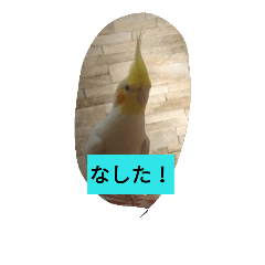 [LINEスタンプ] 秋田弁フクロウ君