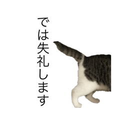 [LINEスタンプ] なつめやしの種の薄皮姉妹とこげ茶さん