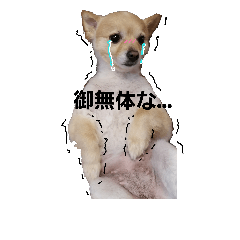 [LINEスタンプ] 雑種のベス嬢