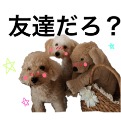 [LINEスタンプ] 我が家のポコとモコ(^ ^)