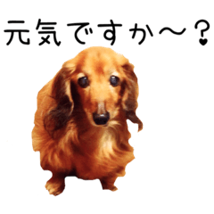 [LINEスタンプ] ルーク隊長と愉快な仲間たち2