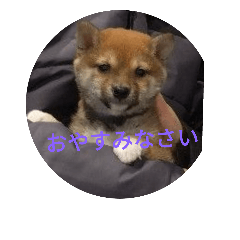 [LINEスタンプ] 犬おいち