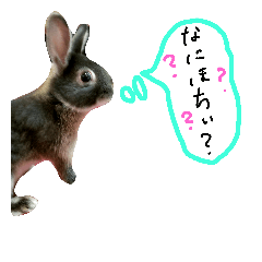 [LINEスタンプ] MY SWEETEST ito