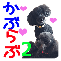 [LINEスタンプ] かぶとらぶ その2