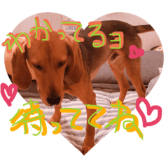 [LINEスタンプ] 愛犬ポテト2