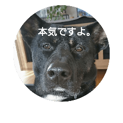 [LINEスタンプ] 黒犬とこども