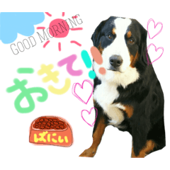 [LINEスタンプ] ばにぃとじぇにぃ