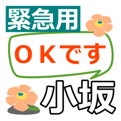 [LINEスタンプ] 取急ぎ返信用【小坂,こさか,kosaka】専用