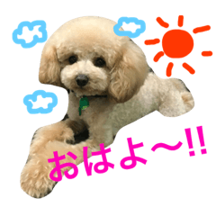 [LINEスタンプ] りくとここの毎日