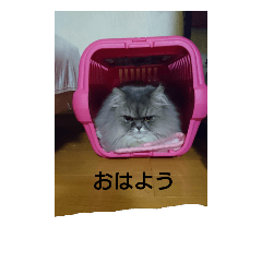 [LINEスタンプ] 快夜のスタンプ