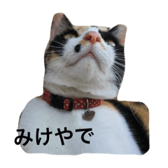 [LINEスタンプ] みけすたんぷ