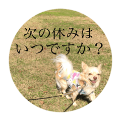 [LINEスタンプ] チワワのこころ