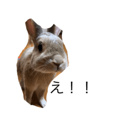 [LINEスタンプ] うさぎ ラブ1