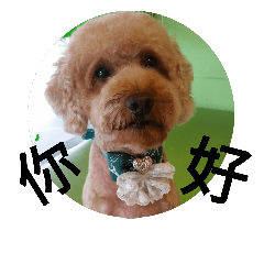 [LINEスタンプ] My baby My Dog1