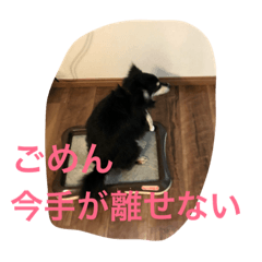 [LINEスタンプ] チワックスのルーク3