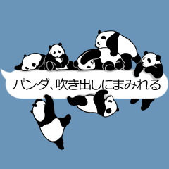 [LINEスタンプ] パンダ、吹き出しにまみれる