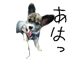 [LINEスタンプ] のもこ