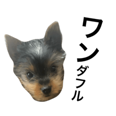 [LINEスタンプ] マフィン0120