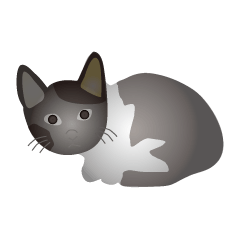 [LINEスタンプ] スケルトン猫