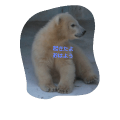 [LINEスタンプ] polar bear  fan