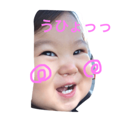 [LINEスタンプ] いつも陽気なこっちゃんぽ