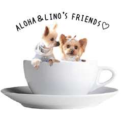[LINEスタンプ] aloha＆lino's friend stickers