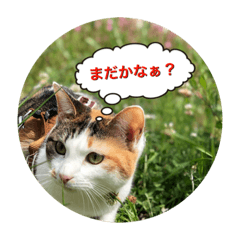 [LINEスタンプ] ニャンとムーの2匹の日常生活 2