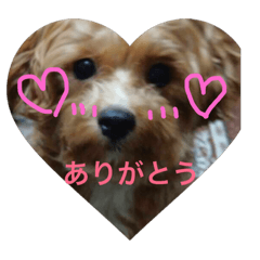 [LINEスタンプ] じなの愛犬