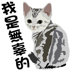 [LINEスタンプ] Cat stickers by Gerald Her _ Series 1